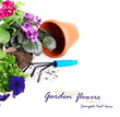 Photo: Garden flowers Garden flowers