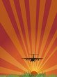 plane above green grass at sunset