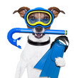 scuba dog