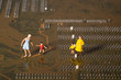 motherboard with micro schemes