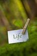 Life