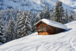 Ski- und Snowboardspuren im Tiefschnee
