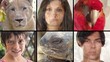 faces collage
