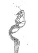 abstract silver splash