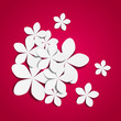 Vektor: Paper flowers Paper flowers
