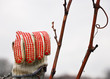 Handschuh Weingarten Landarbeit Pause