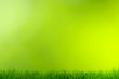 Photo: grass and green background grass and green background