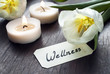 Wellness Schild mit Tulpen