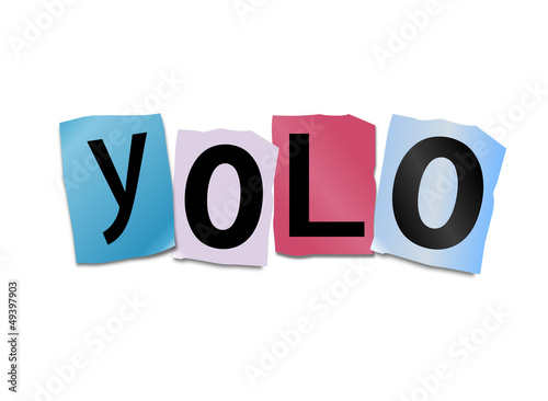 Illustration: YOLO concept. YOLO concept.
