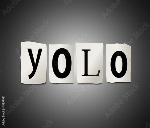 Illustration: YOLO concept. YOLO concept.