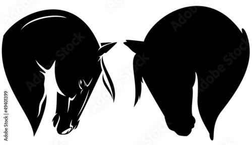 Vector: beautiful horse head profile - black vector outline beautiful horse head profile - black vector outline