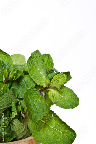 Photo: fresh mint fresh mint