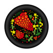 Plate pattern Khokhloma