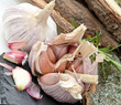 Knoblauchknollen