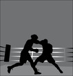 Boxkampf