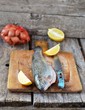 trout