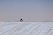 the cyclist in the snow