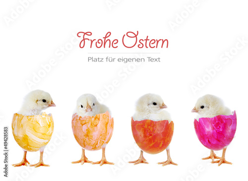 Photo: Frohe Ostern – 4 Küken in bunten Eiern Frohe Ostern – 4 Küken in bunten Eiern