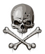 Decrepit skull with two crossed bones isolated on white