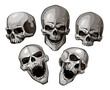 Set of skulls