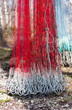 Photo: Red fishing net Red fishing net