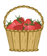 Ilustración: Basket with berries on a white background Basket with berries on a white background