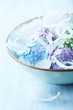Photo: Pastel easter eggs with feathers in a bowl Pastel easter eggs with feathers in a bowl