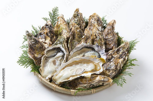 Photo: 生牡蠣 生牡蠣