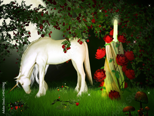 Illustration: Unicorn Unicorn