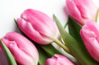 Photo: Rosa Tulpen Rosa Tulpen