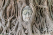 Buddha face