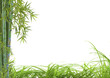 décor asiatique détente bambou herbes