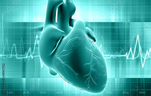 Illustration: heart heart