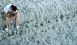Man sits - pondering - in the sand-1