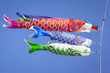 Carp Streamers