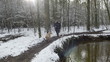 Woman is walking with the dogs