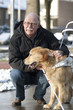 Guide dog is helping a blind man in traffic