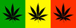 Cannabis leaves