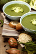 Traditional broccoli soup