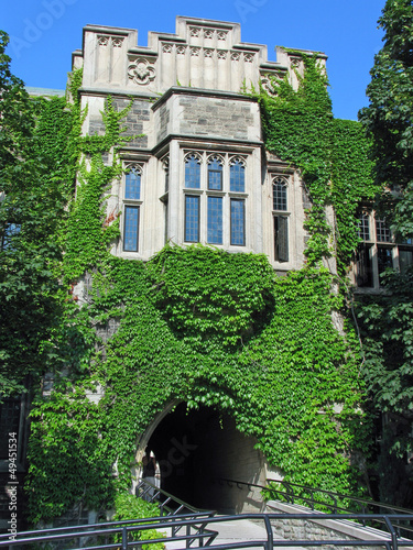 Photo: vine covered college building vine covered college building