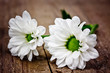 Foto: weisse Blüten weisse Blüten