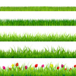 Vector: Big Green Grass And Flowers Set Big Green Grass And Flowers Set