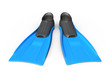 Blue Flippers