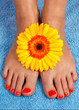 pedicure on foot