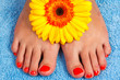 pedicure on foot