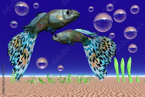 Illustration: bunte Fische bunte Fische