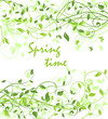 Spring time