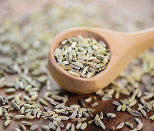 Photo: Fenchel Fenchel