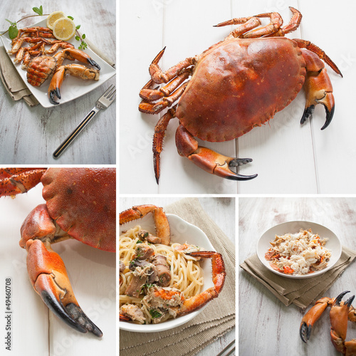 Photo: Crab composition Crab composition