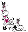 canvas print picture - Ranke, flora, Blüten, Schmetterlinge, schwarz, pink